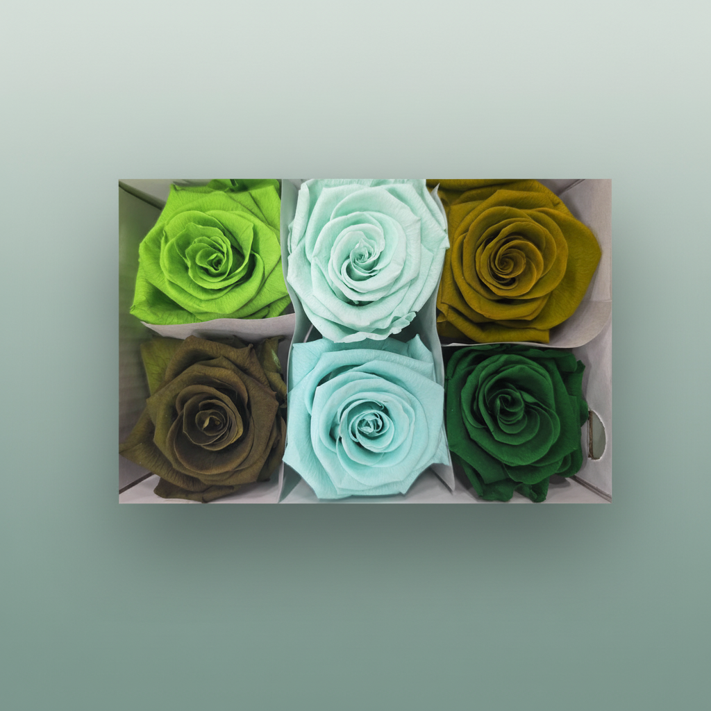 Rose Preserved Classic Mix Green