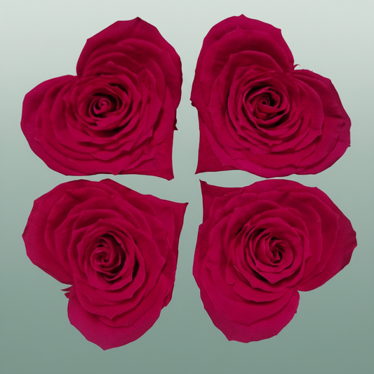 Ro Pres Hearts Fuchsia