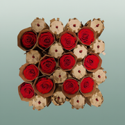 Rose Preserved Medium Red Light