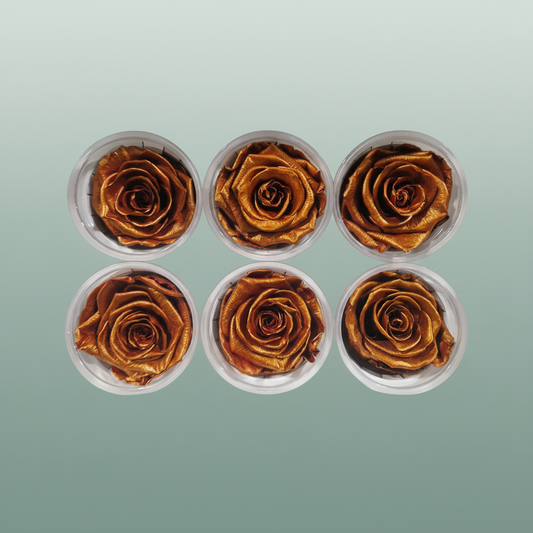 Rose Preserved Metallic Copper