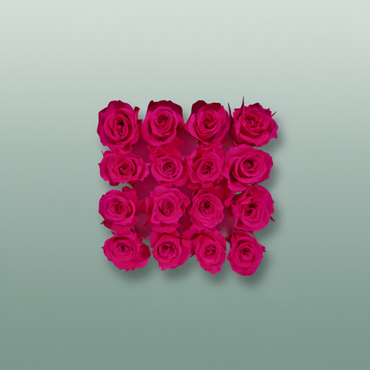 Rose Preserved Micro Fuchsia