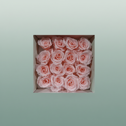 Rose Preserved Micro Soft Pink