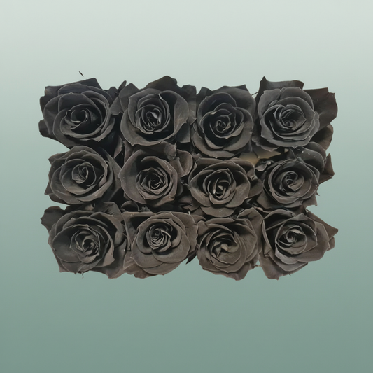 Rose Preserved Mini Black