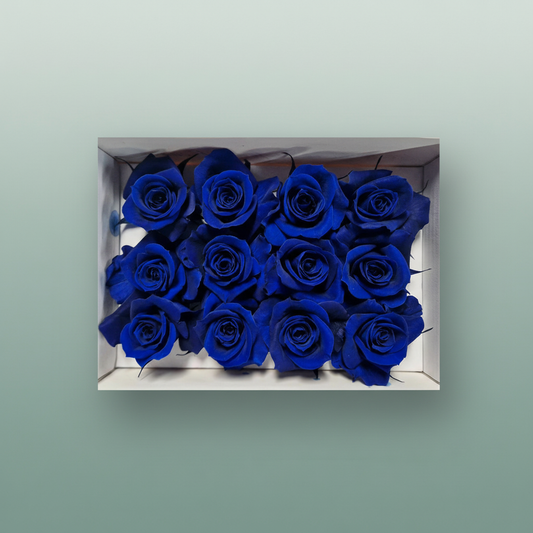 Rose Preserved Mini Blue