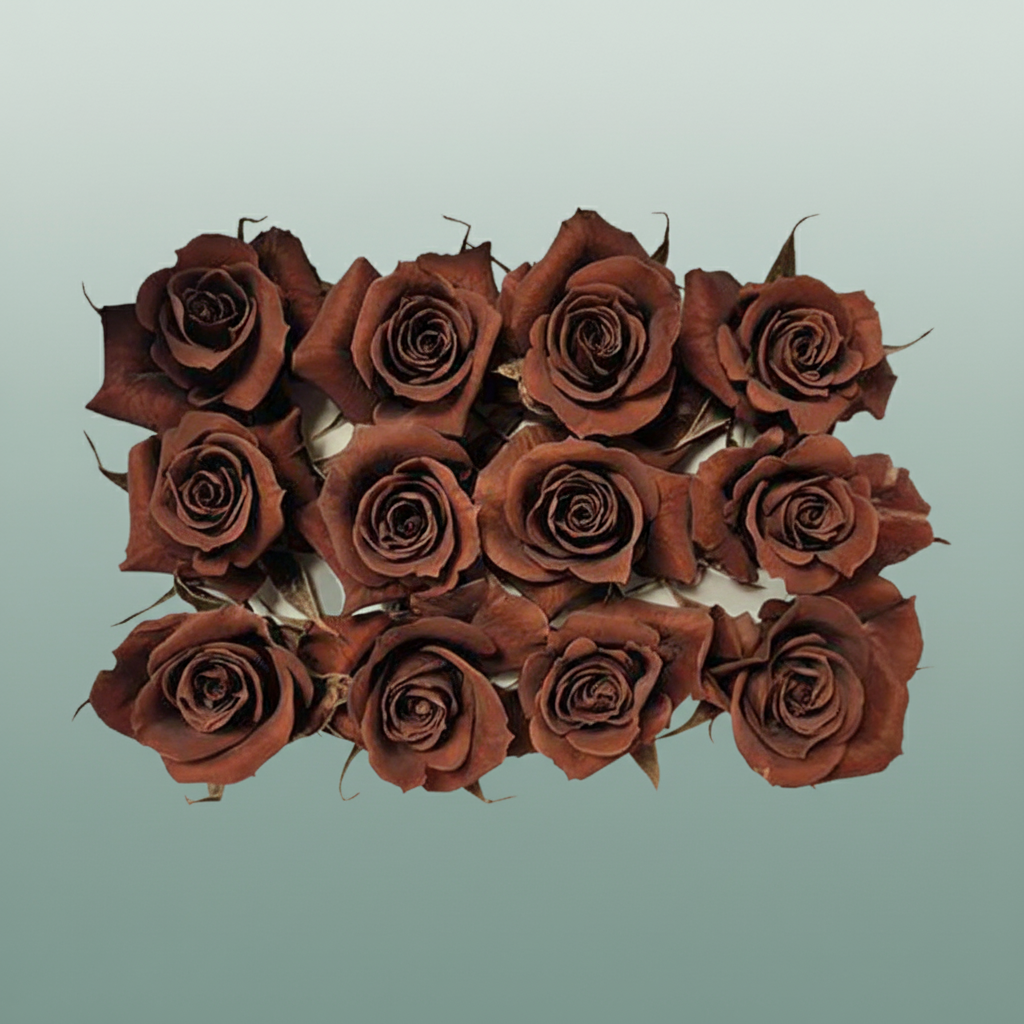 Rose Preserved Mini BRosewn