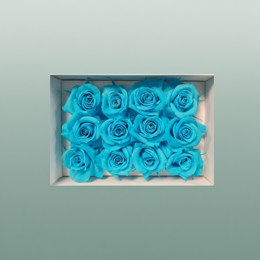Rose Preserved Mini Cyan
