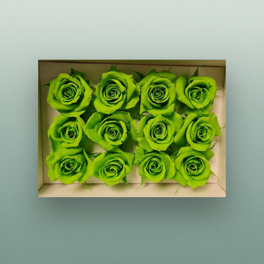 Rose Preserved Mini Green Lime