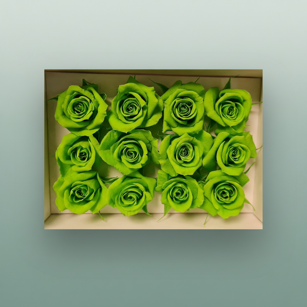 Rose Preserved Mini Green Lime