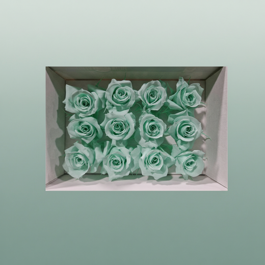 Rose Preserved Mini Green Mint