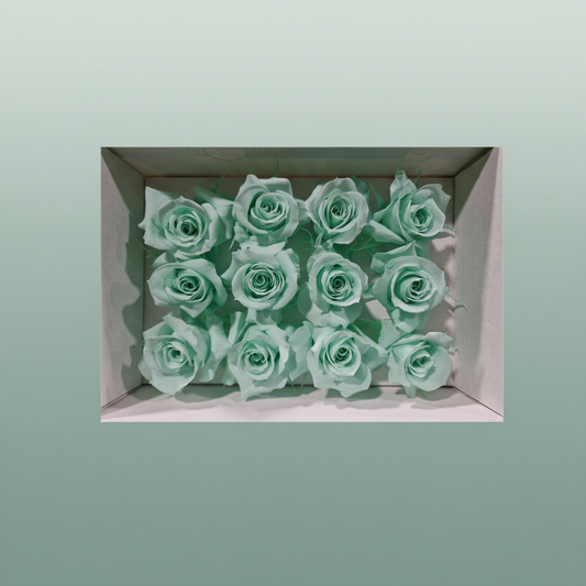 Rose Preserved Mini Green Mint