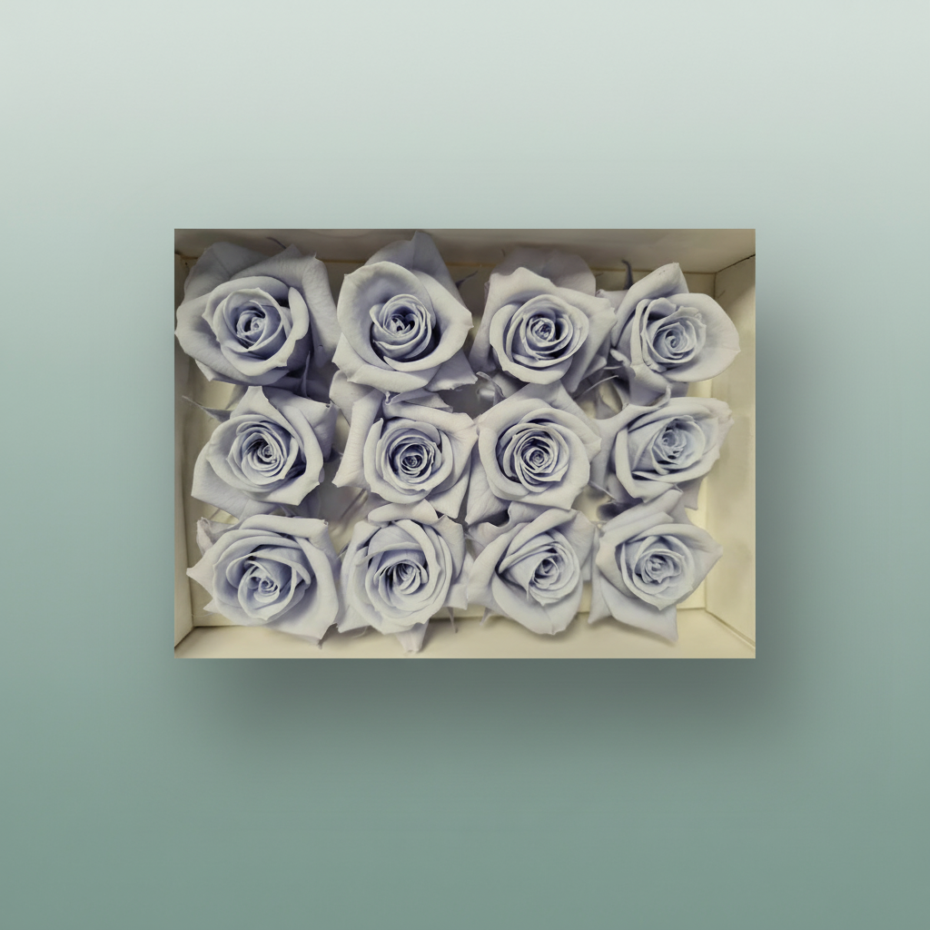 Rose Preserved Mini Lavender