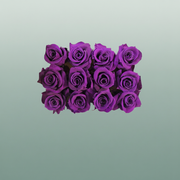 Rose Preserved Mini Lila