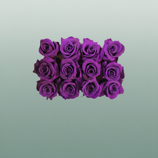 Rose Preserved Mini Lila