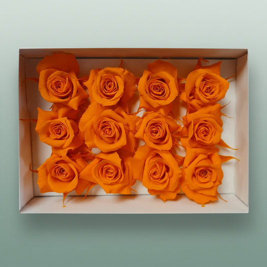 Rose Preserved Mini Orange