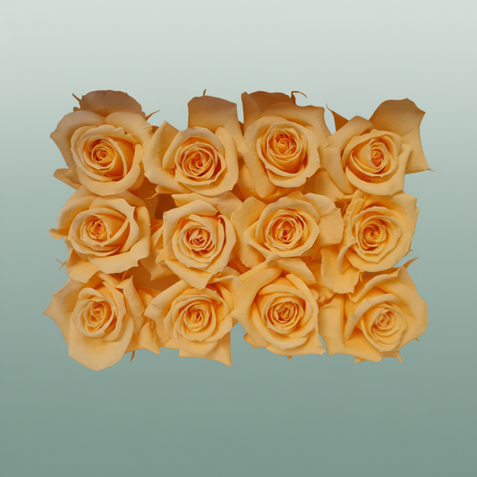 Rose Preserved Mini Peach