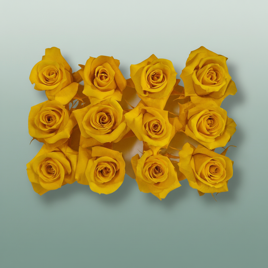 Rose Preserved Mini Yellow Gold