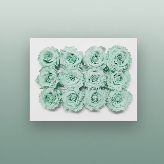 Rose Preserved Rom Mini Mint
