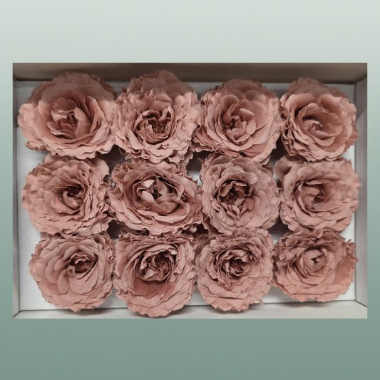 Ro Pres Rom Mini Pink Dusty