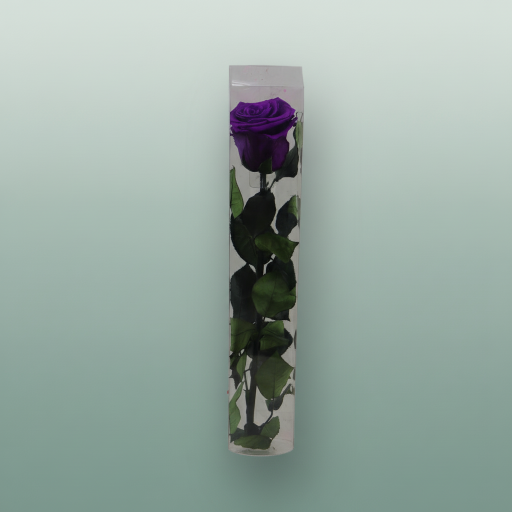 Rose Preserved Stem Lila