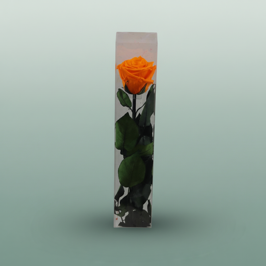 Rose Preserved Stem Orange