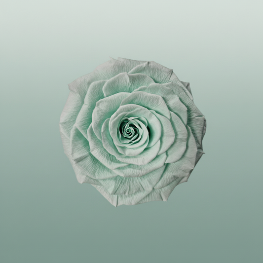 Rose Preserved Xl Green Mint