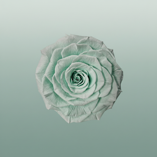 Rose Preserved Xl Green Mint