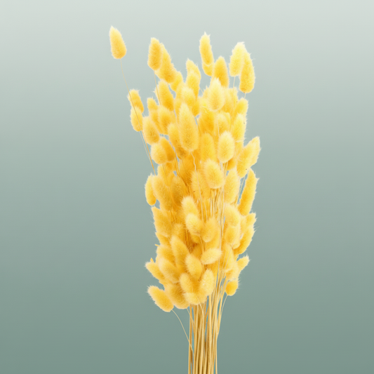 Dried Lagurus Salmon