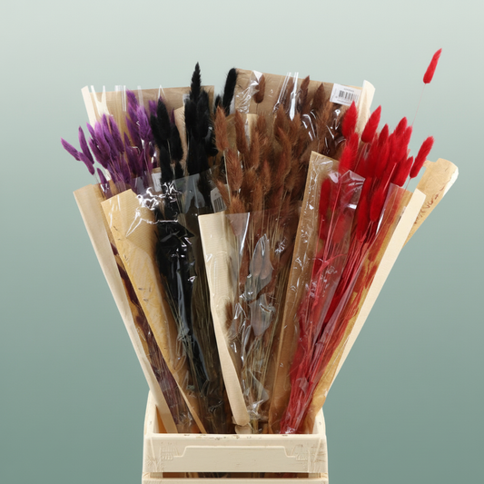 Dried Lagurus Autumn Mix