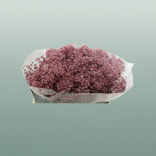 Gypsophila Dyed Grof Metallic Pink