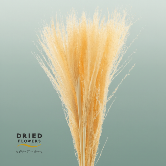 Dried Bleached Miscanthus Salmon