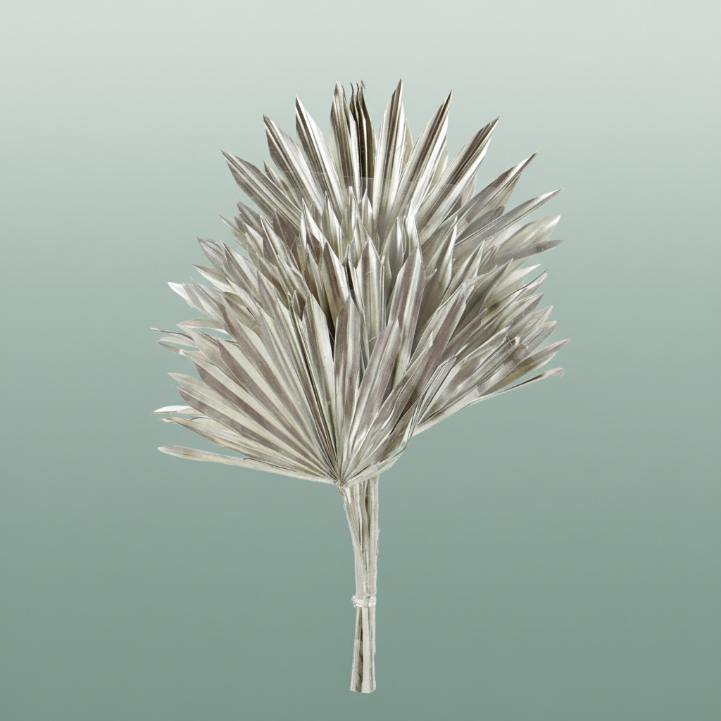 Dried Palm Sun Platina