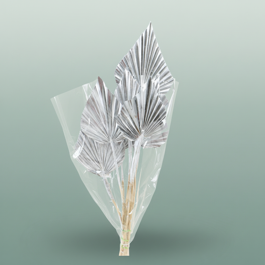 Dried Palm Spear Silver