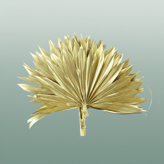 Dried Palm Sun Gold