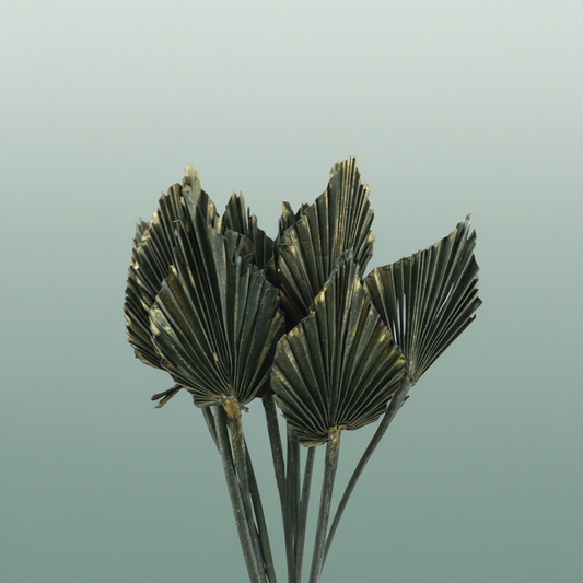 Dried Palm Spear Olive Gold