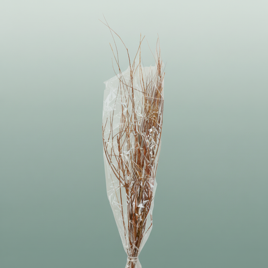 Dried Tamerice Natural Poly