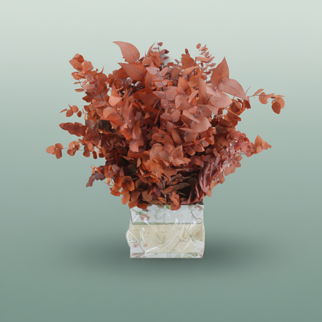 Pres Eucalyptus Stuartiana Orange