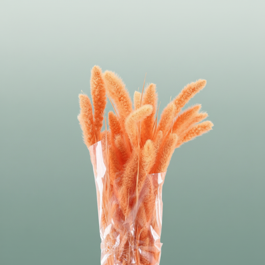 Dried Setaria Salmon