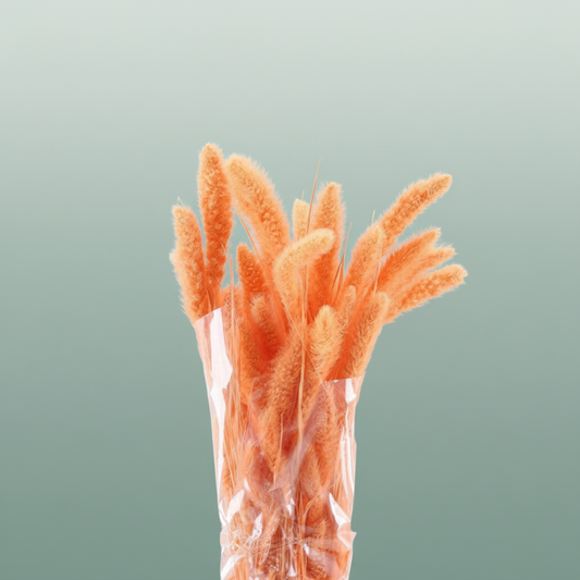 Dried Setaria Salmon