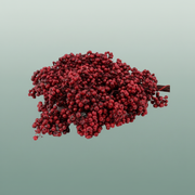 Schinus M Pt Burgundy