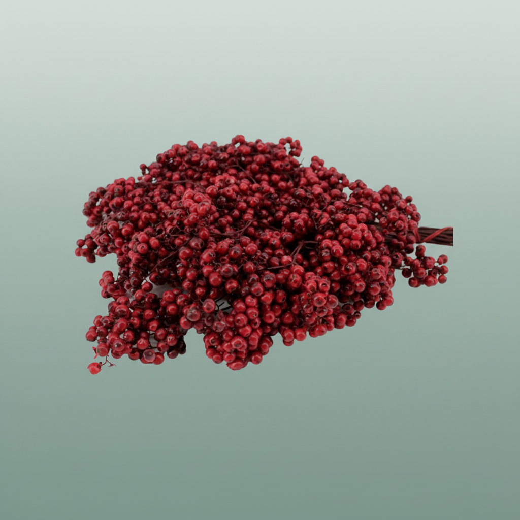 Schinus M Pt Burgundy