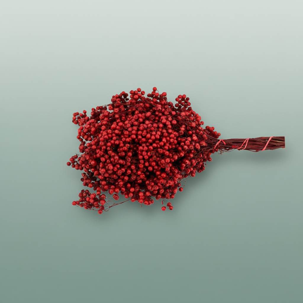 Schinus M Pt Carnation Red