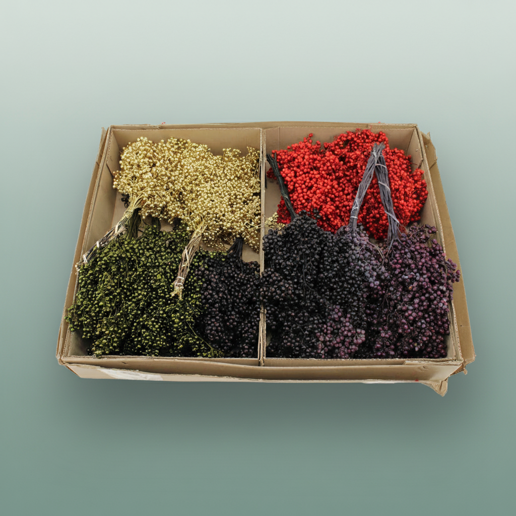 Schinus M Pt Christmas Mix