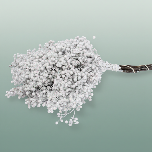 Schinus M Pt Mother Of Pearl