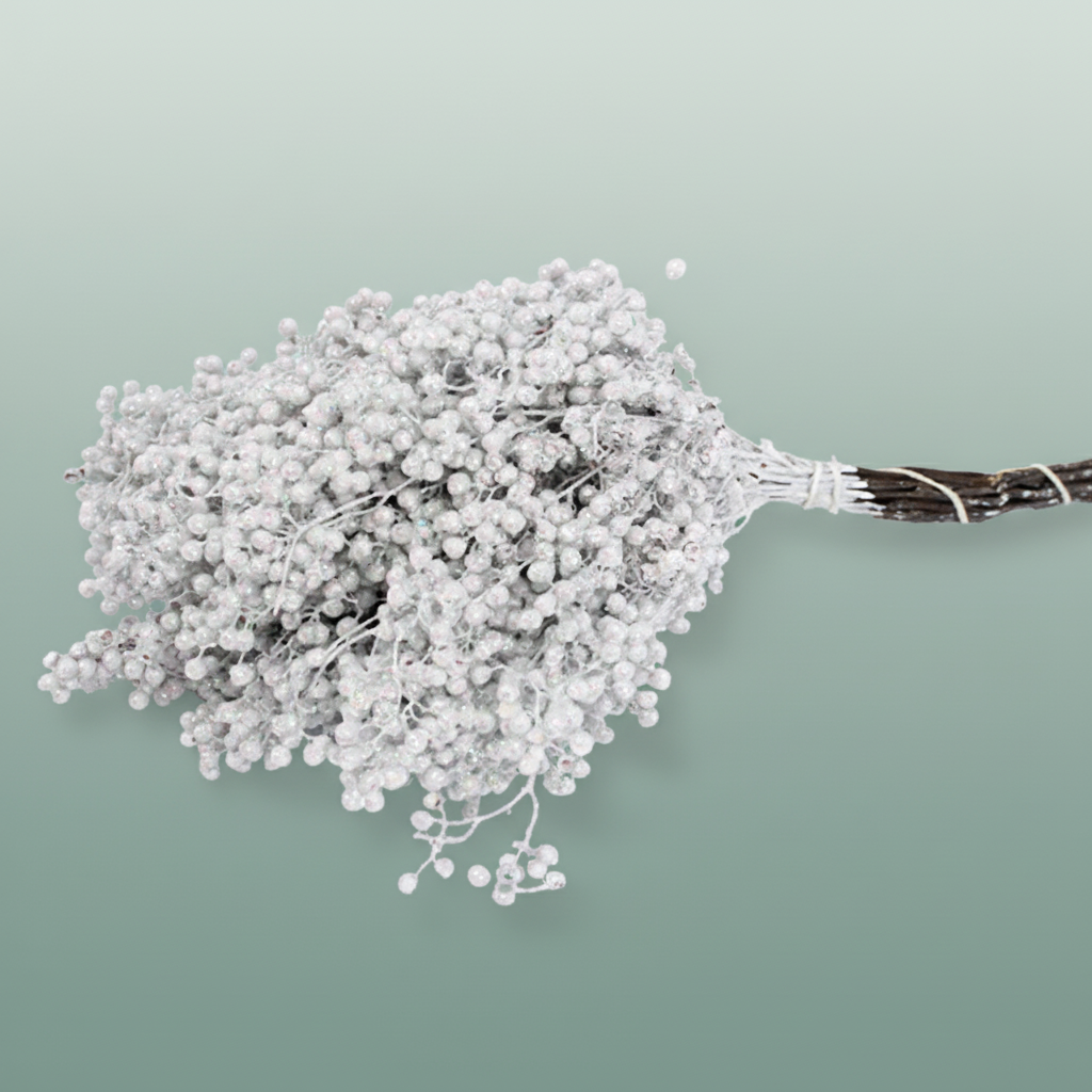 Schinus M Pt Mother Of Pearl