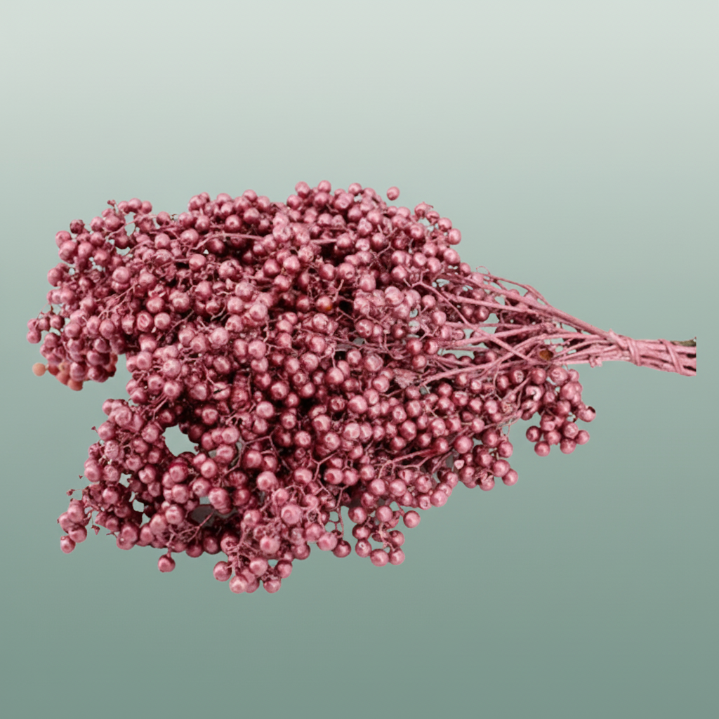 Schinus M Pt Perfect Pink