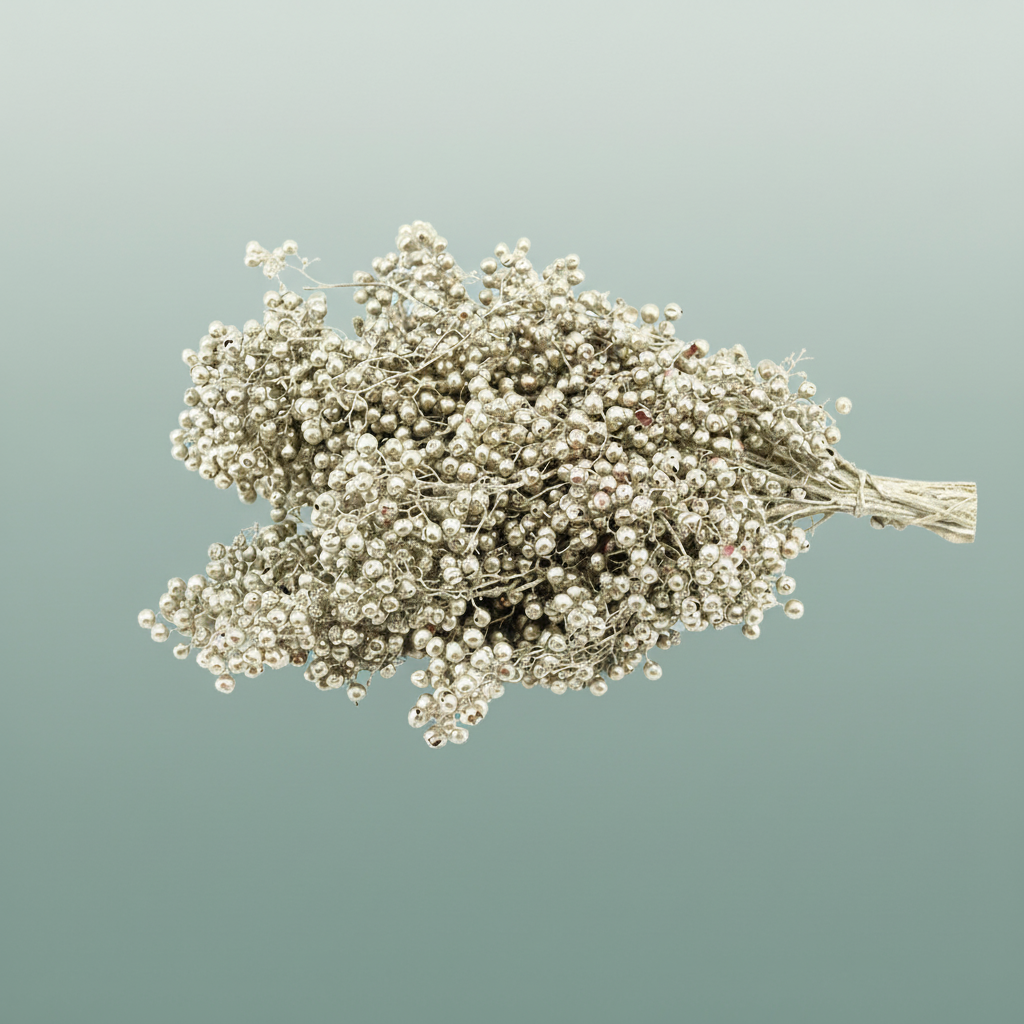 Schinus M Pt Platinum