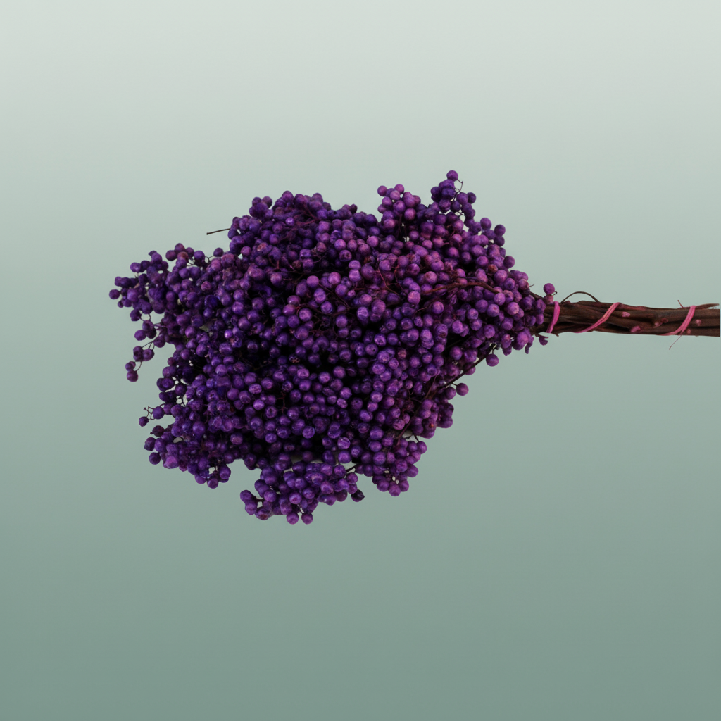 Schinus M Pt Lavender