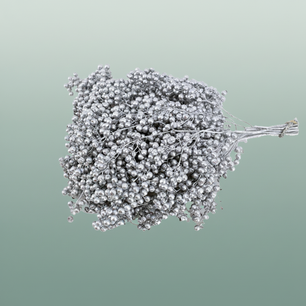 Schinus M Pt Silver
