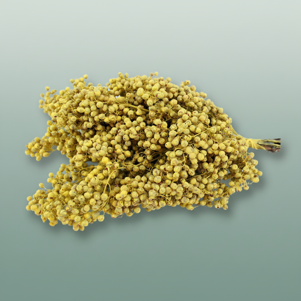 Schinus M Pt Yellow