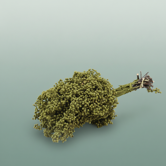 Schinus M Pt Olijf Groen Xl